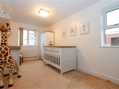 Picture 13
